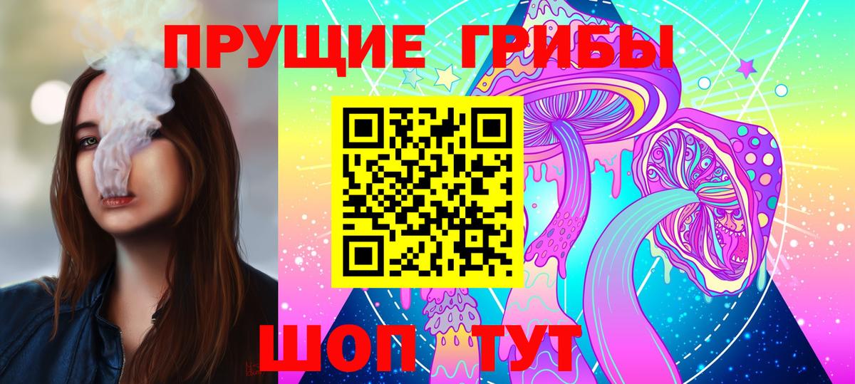 Галлюциногенные грибы Psilocybe Заринск