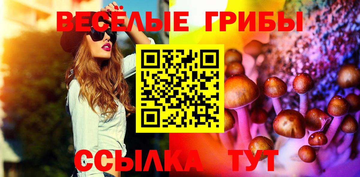 Заринск  Псилоцибиновые грибы Psilocybe  Вход с VPN 